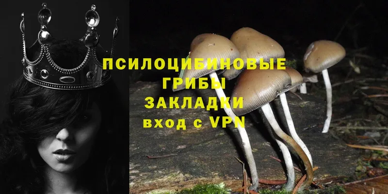 Галлюциногенные грибы Psilocybine cubensis  hydra как войти  Неман 